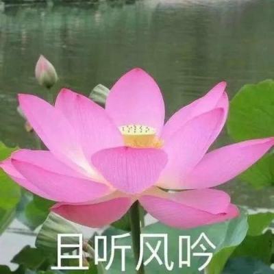 本溪彩友合买“快乐8” 喜中奖金36万余元